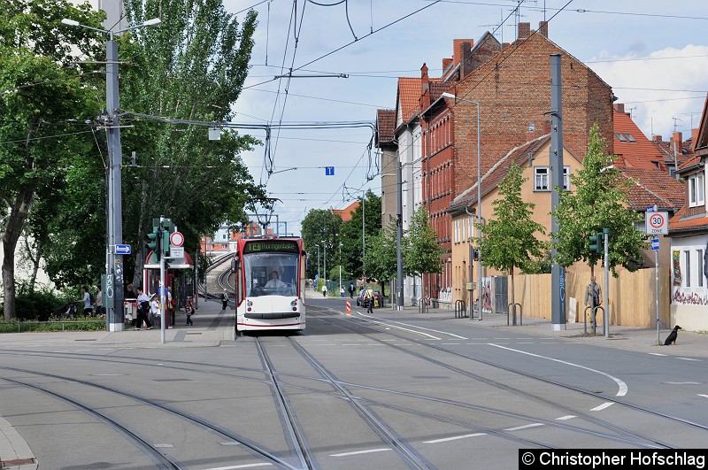Bild: In der Haltestelle Salinenstraße.