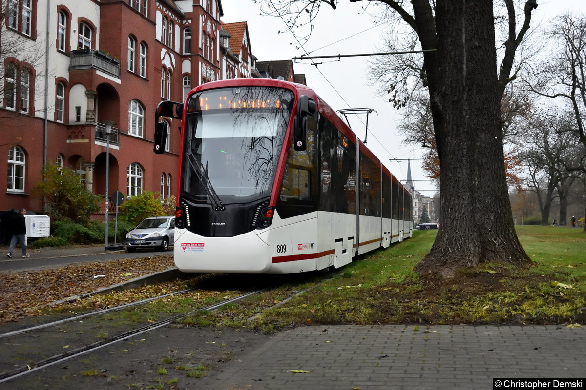 TW 809 als Linie 5 am Löberwallgraben.