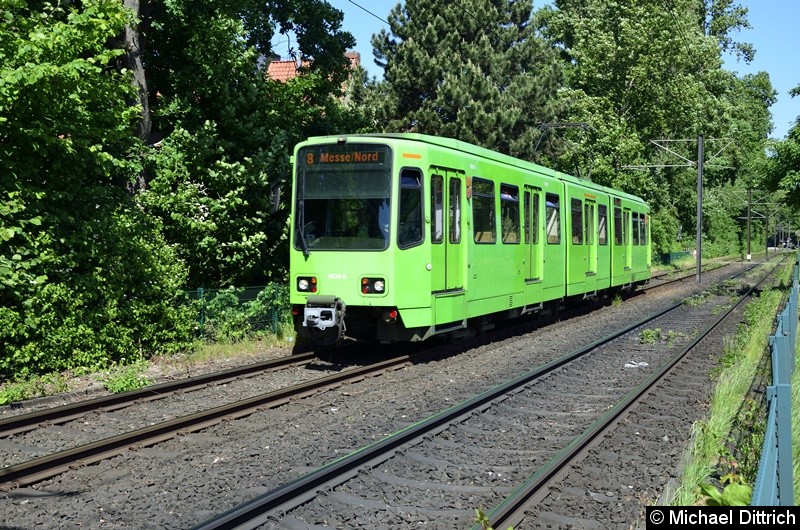 6224 als Linie 8 zwischen den Haltestellen Am Mittelfelde und Messe/Nord.