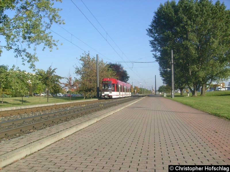 Bild: TW 601 auf der Linie 5 in Bereich August-Frölich-Straße.