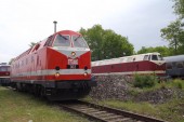 MEG 302 (BR 229)