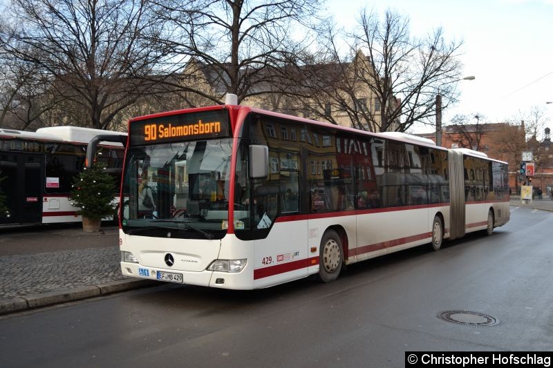 Bild: Bus 429 als Linie 90 am Domplatz
