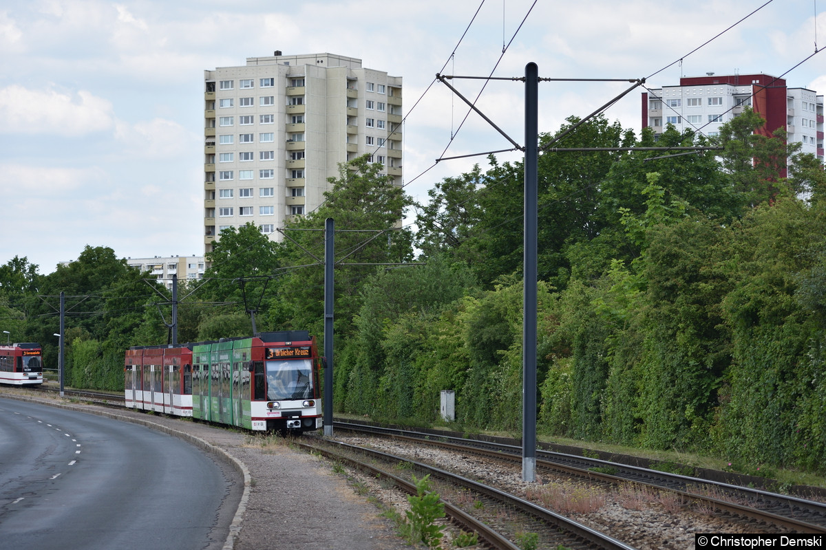 Tw 604+603 als Linie 3 in Richtung Urbicher Kreuz auf der Nordhäuser Straße, kurz vor der Haltestelle Warschauer Straße.