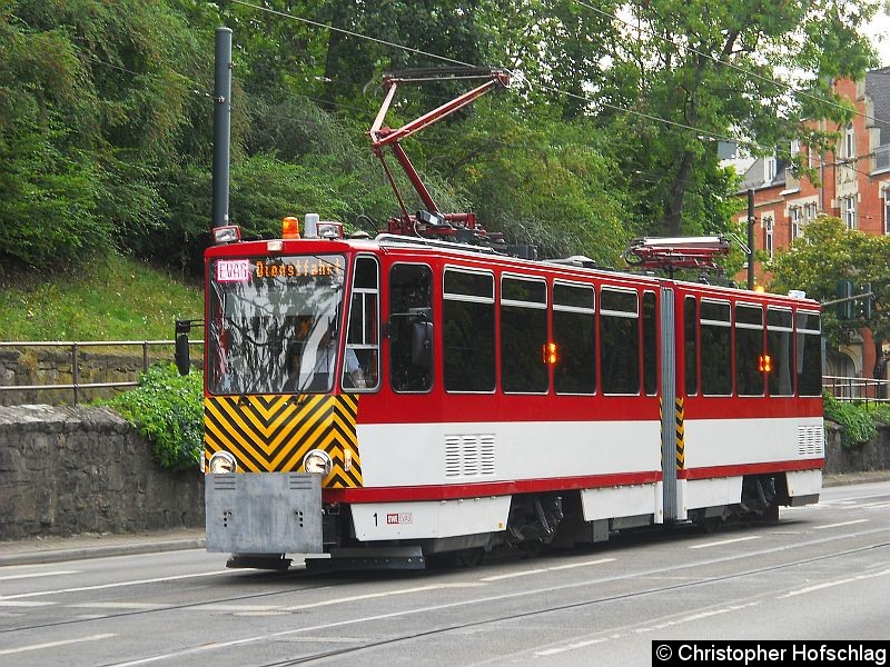 Bild: ATW1 in Berich Stadtpark.