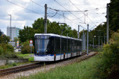 815