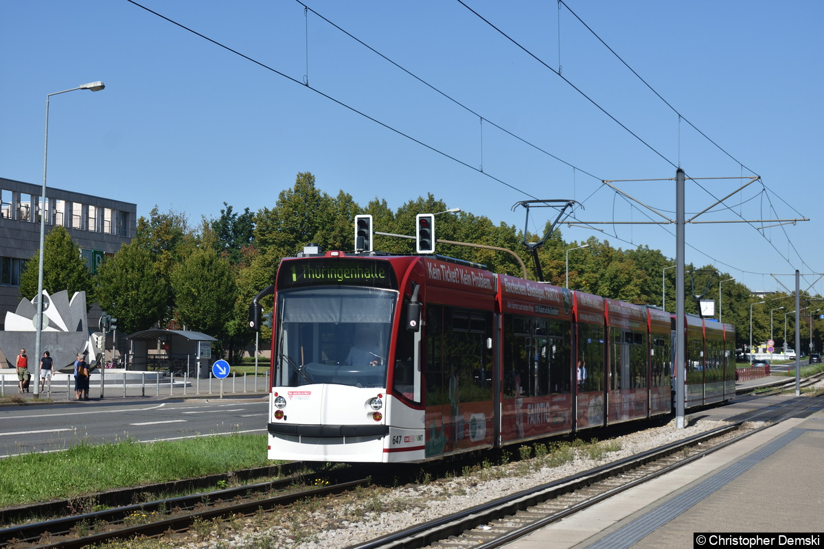 Bild: Tw 647+711 als Linie 1 auf der Nordhäuser Straße im Bereich Thüringen-Park.