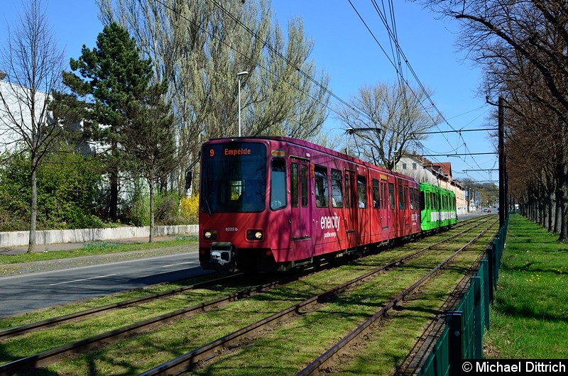 Bild: 6223 + 6126 als Linie 9 zwischen den Haltestellen Bauweg und Körtingsdorfer Weg.