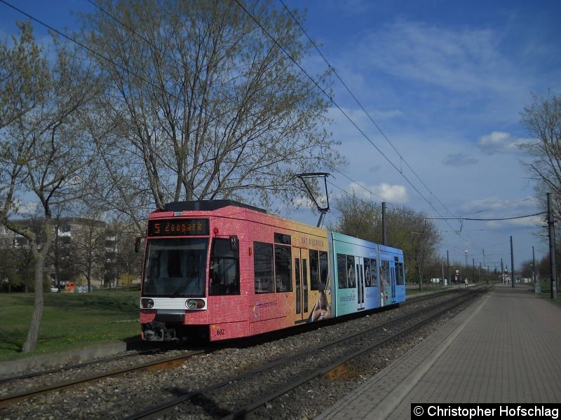 Bild: TW 602 auf der Linie 5 in der August-Fröhlich-Straße.