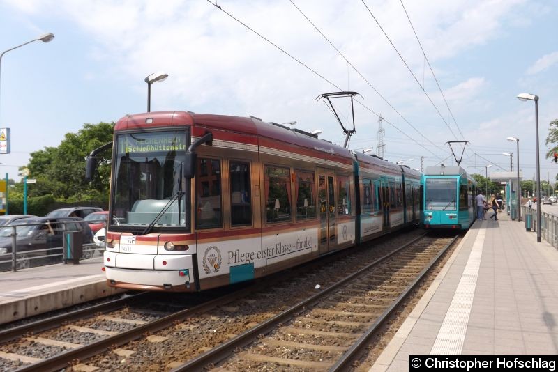 TW 245 als Linie 11 an der Haltestelle Mönchhofstraße. Bild: TW 245 als Linie 11 an der Haltestelle Mönchhofstraße.