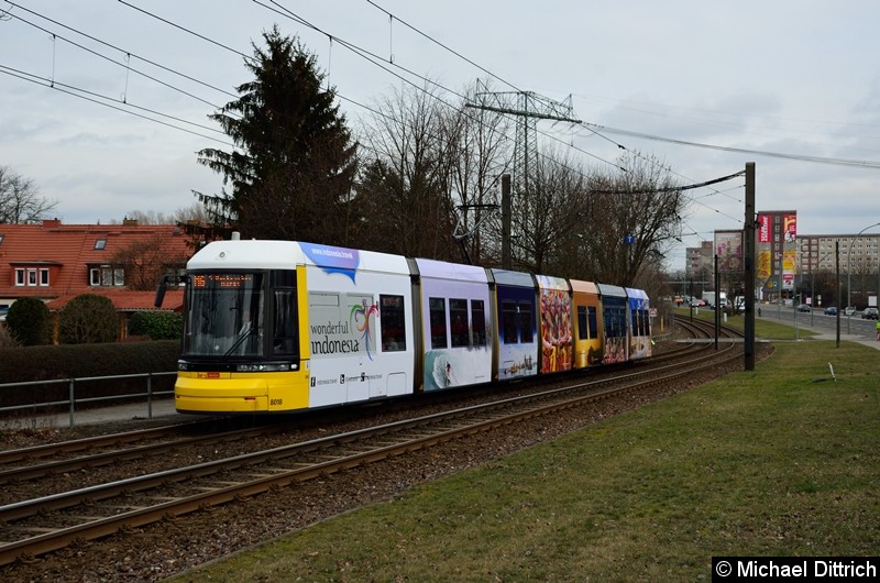 Bild: 8018 als Linie M6 kurz vor der Haltestelle Landsberger Allee/Rhinstr.