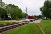 644+719