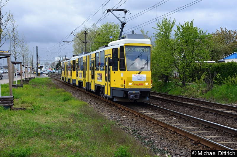 6092 + 6160 als Linie M6 zwischen den Haltestellen Landsberger Allee/Rhinstr. und Dingelstädter Str.
Letzter Einsatztag der KT4D in Berlin.