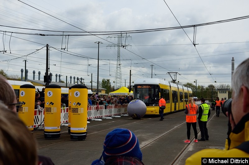 Die fünfte und letzte Disziplin: Das Tram-Bowling. Aufgestellt wurden sechs Kegel, diese mussten mit der Kugel Bild: Die fünfte und letzte Disziplin: Das Tram-Bowling. Aufgestellt wurden sechs Kegel, diese mussten mit der Kugel