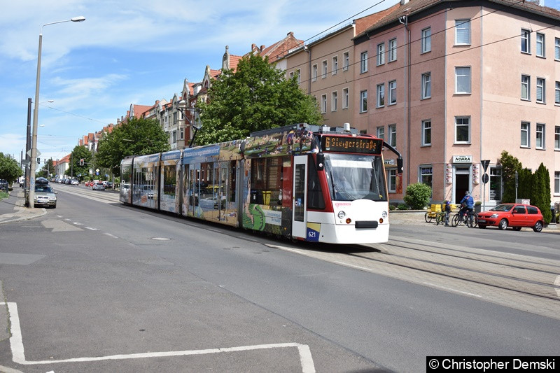 Bild: TW 621 als Linie 6 auf der Nordhäuser Straße.