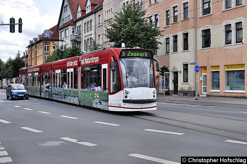 TW 630 als Linie 5 in Richtung Zoopark in der Magdeburger Allee vor der Haltestelle Ilversgehofner Platz. Bild: TW 630 als Linie 5 in Richtung Zoopark in der Magdeburger Allee vor der Haltestelle Ilversgehofner Platz.