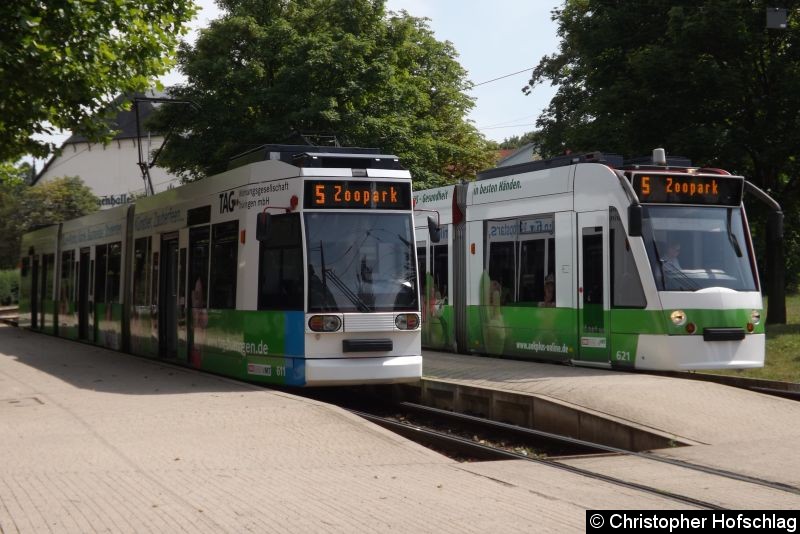 Bild: TW 611 und 621 als Linie 5 an der Thüringenhalle.