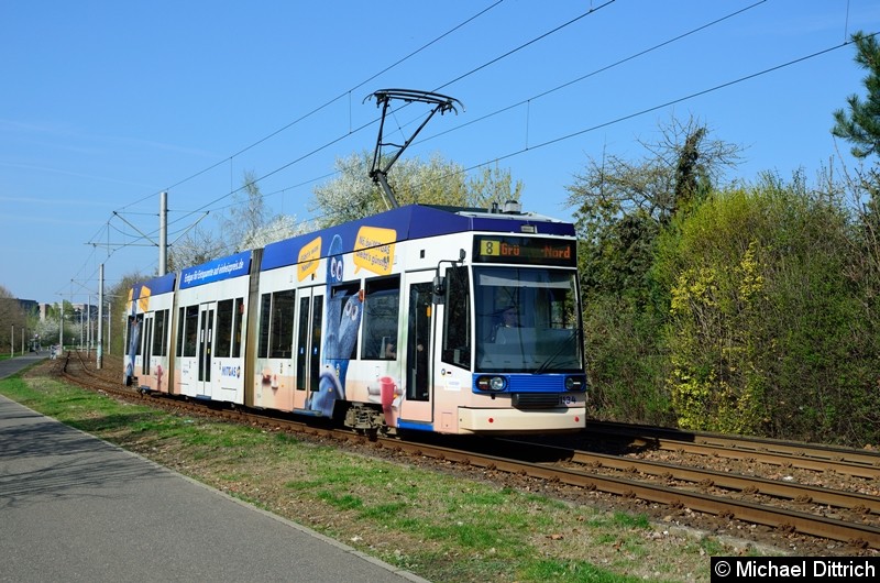 1134 als Linie 8 kurz vor der Haltestelle Strbf. Paunsdorf.