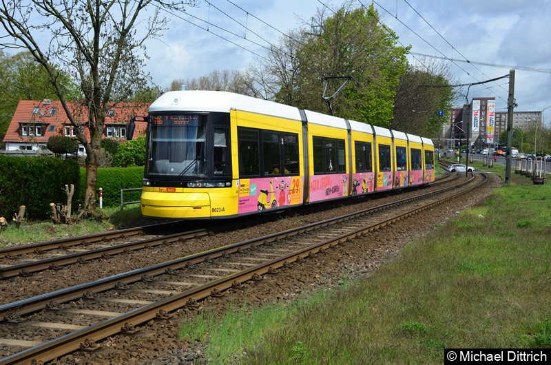 8023 als Linie M6 zwischen den Haltestellen Landsberger Allee/Rhinstr. und Dingelstädter Str.