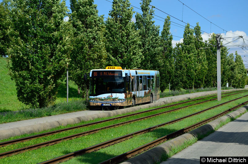 11103 als Linie 86 kurz vor dem S-Bahnhof Messe.