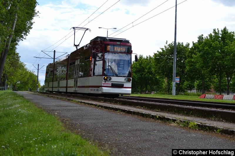 Bild: TW 610 als Linie 6 in Richtung Rieth, höhe Nordhäuser Straße kurz vor der Haltesteller Berliner Straße.