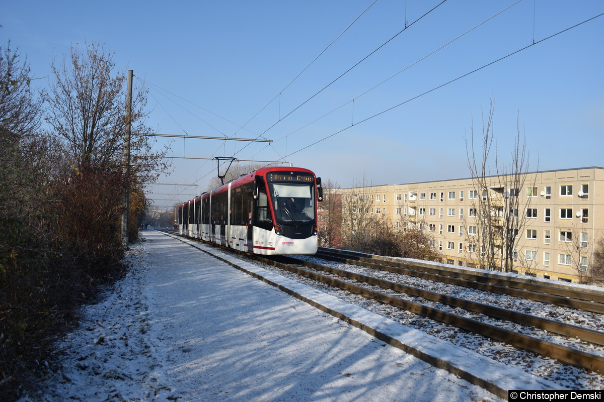 Bild der Woche